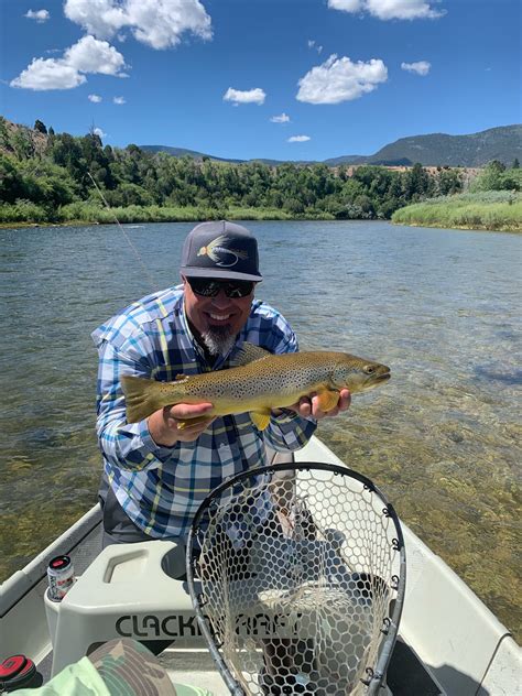 green river fishing reports.